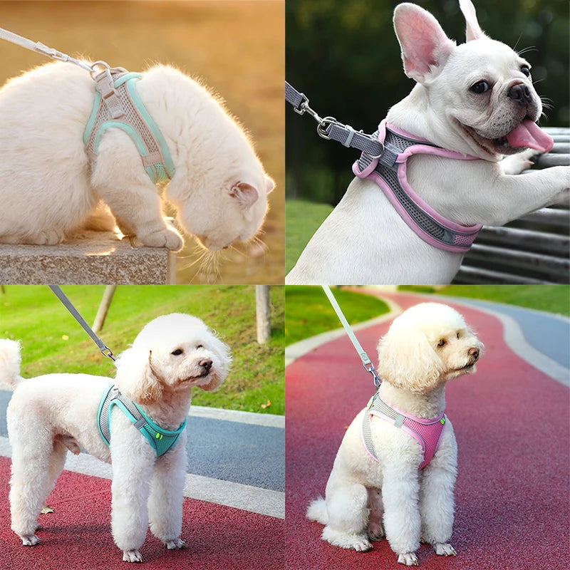 Cat and dog Harness