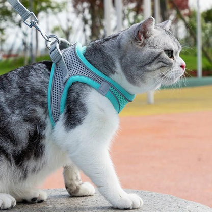 Cat and dog Harness