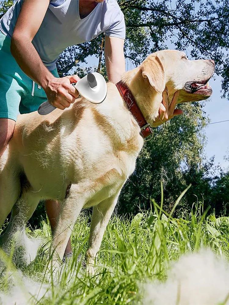 Pet Dog Hair Brush