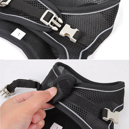 Cat and dog Harness