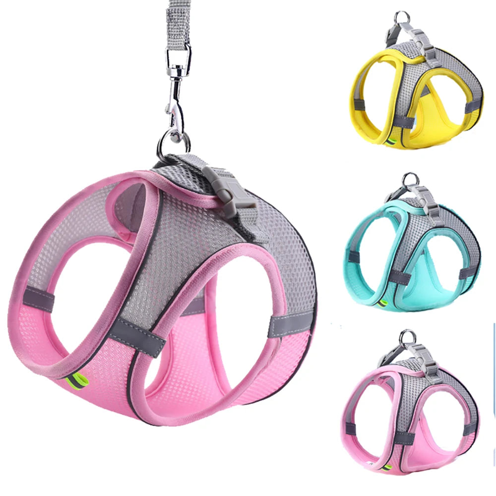 Cat and dog Harness