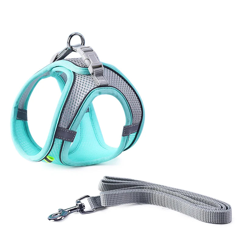 Cat and dog Harness