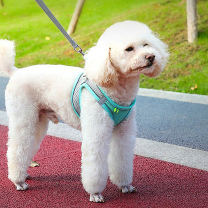 Cat and dog Harness