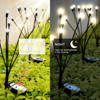 Solar Garden Lights