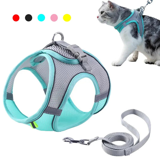 Cat and dog Harness