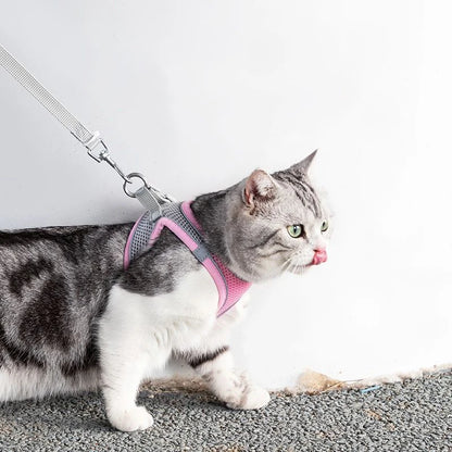 Cat and dog Harness