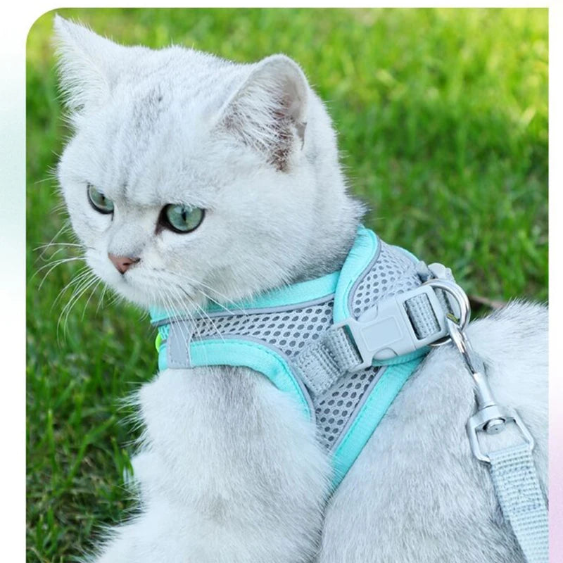 Cat and dog Harness