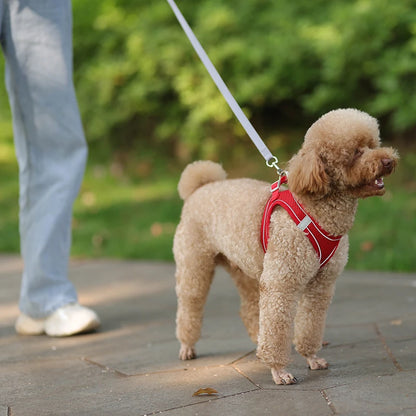 Cat and dog Harness