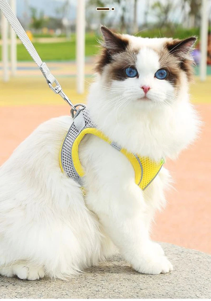 Cat and dog Harness