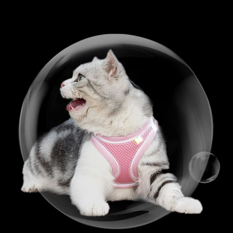 Cat and dog Harness